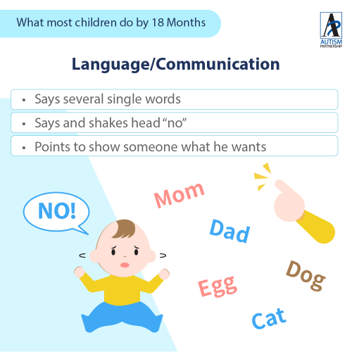by-age-of-18-month-old_En2